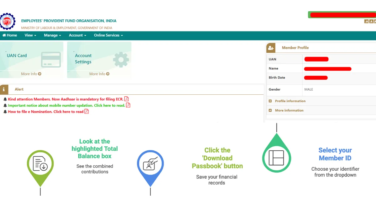EPFO Member Passbook Dashboard showing Total EE and ER Balance